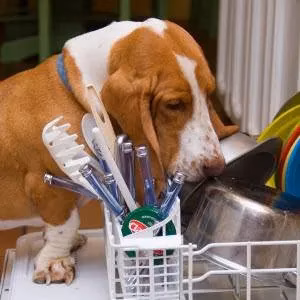 how-android-task-managers-like-routinely-and-chore-checklist-transformed-household-chore-tracking-image-0